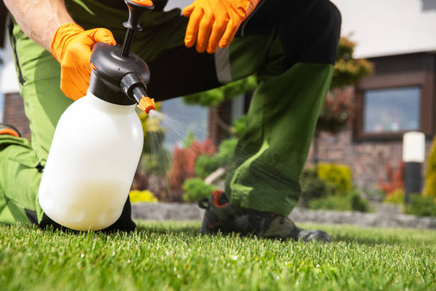 Best Wasp Removal Services  in Hickman, NE