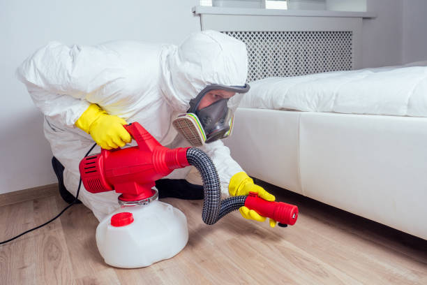 Best Flea Control Services  in Hickman, NE