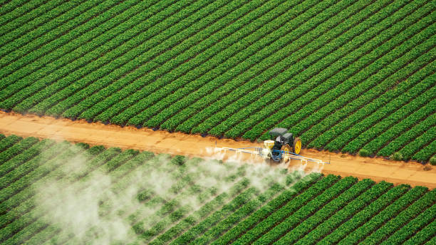 Professional Pest Control in Hickman, NE